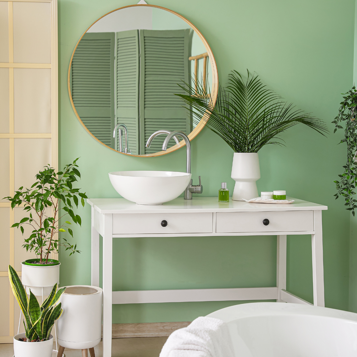 Bathroom friendly plants