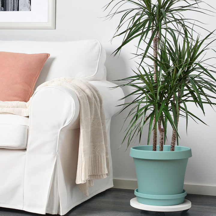 Sebor Super Pot - Sand Grey - Shop Online!