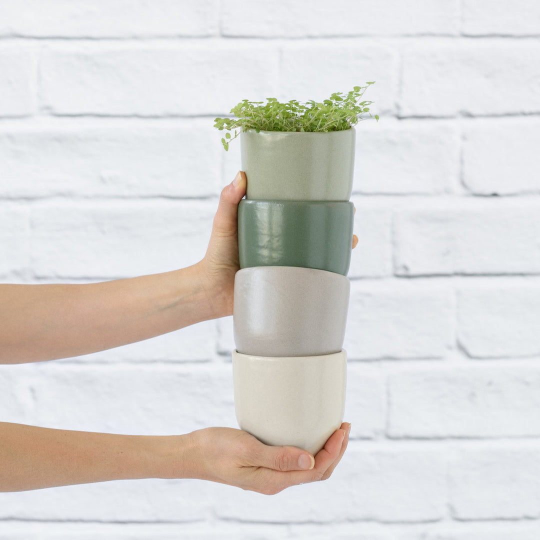 Calandiva Planter - Greens - Shop Online!