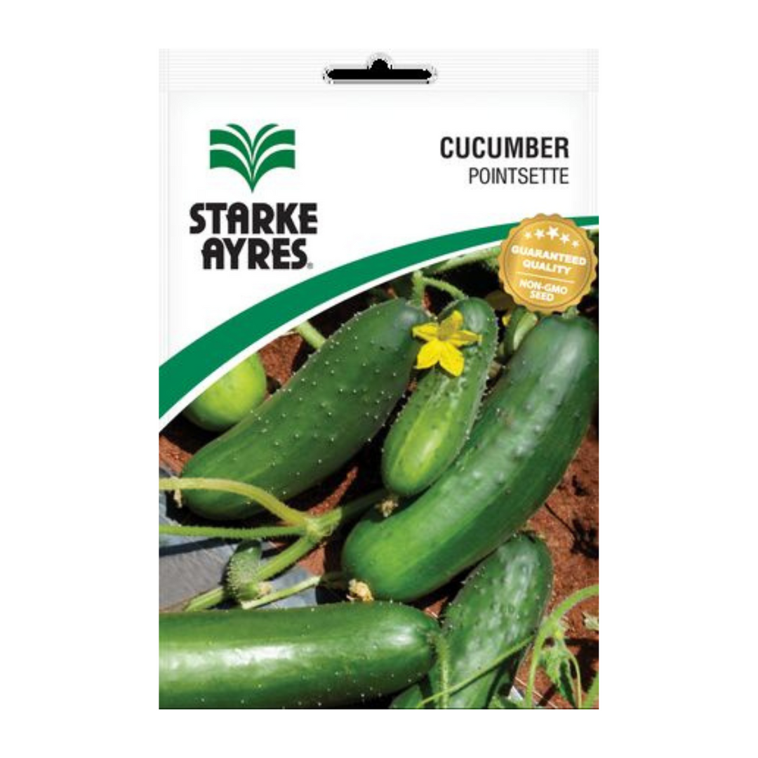 Seeds - Cucumber Poinsette