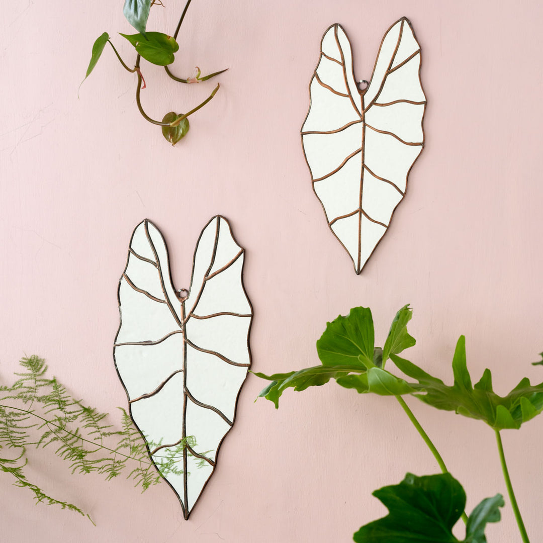Leaf Mirror - Alocasia - Shop Online!