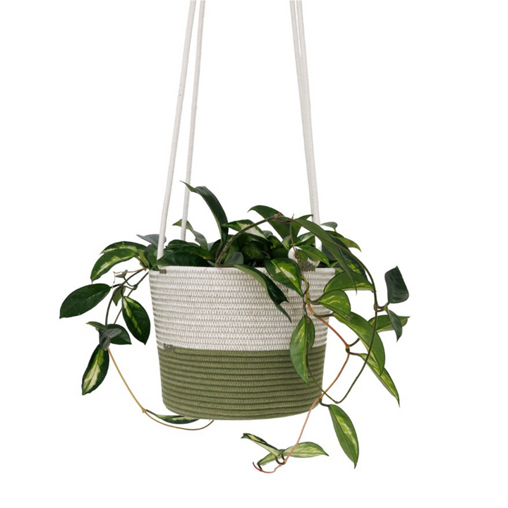 Mia Melange - Large Hanging Planter
