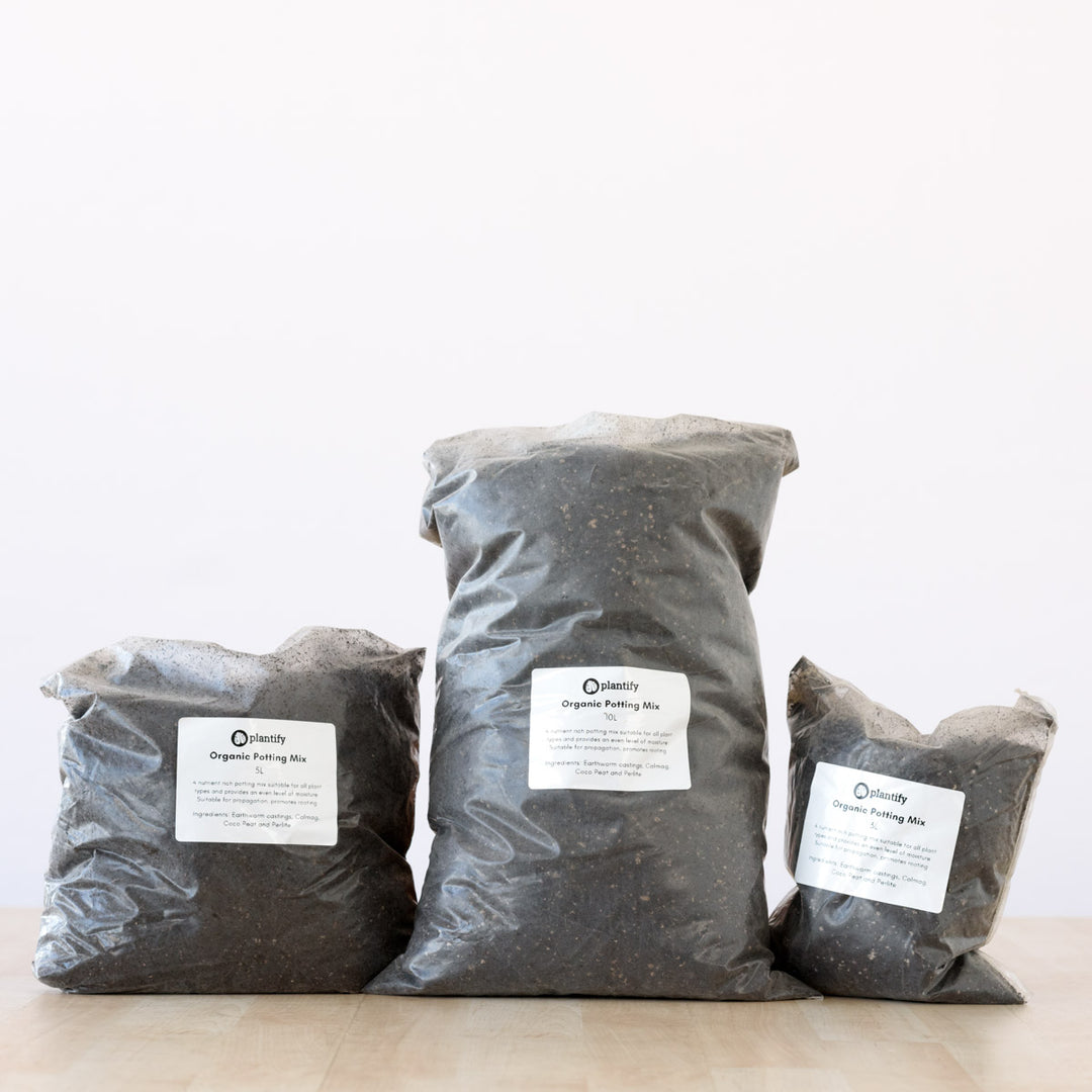 Organic Potting Soil - Shop Online!