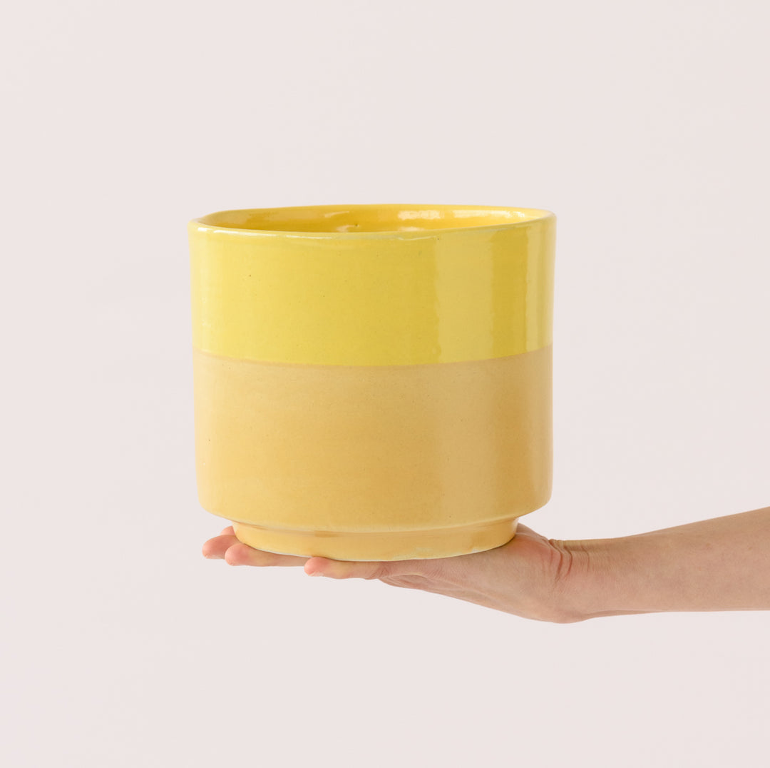 Pastille Planter - Lemon - Shop Online!