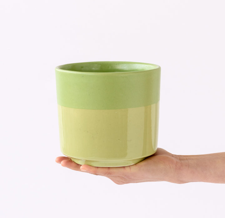 Pastille Planter - Lime - Shop Online!