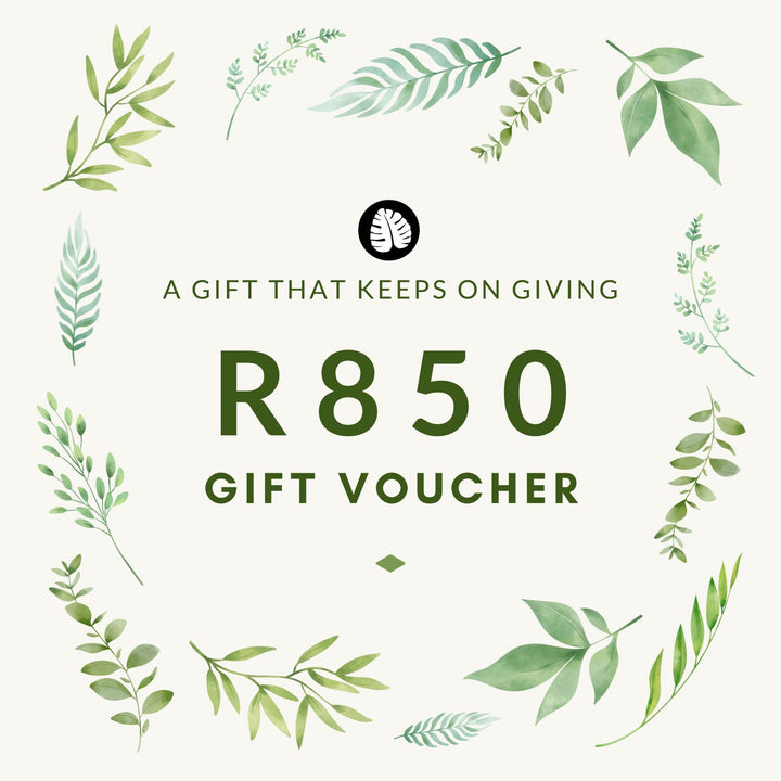 Plantify Gift Voucher - Shop Online!