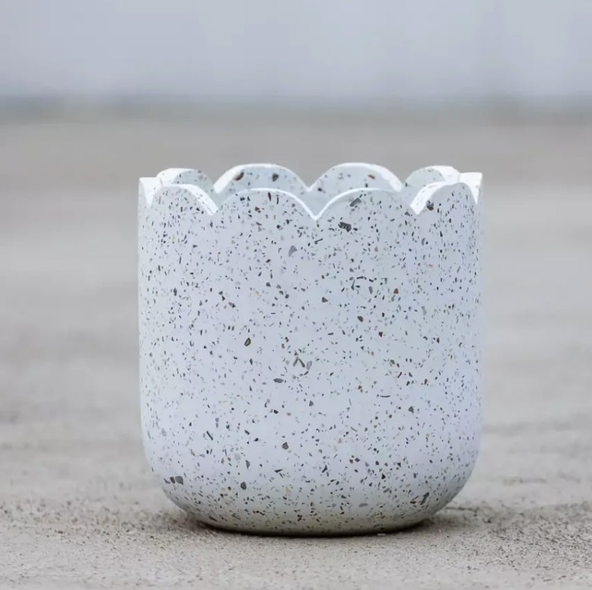 Scalloped Planter - White Terrazzo