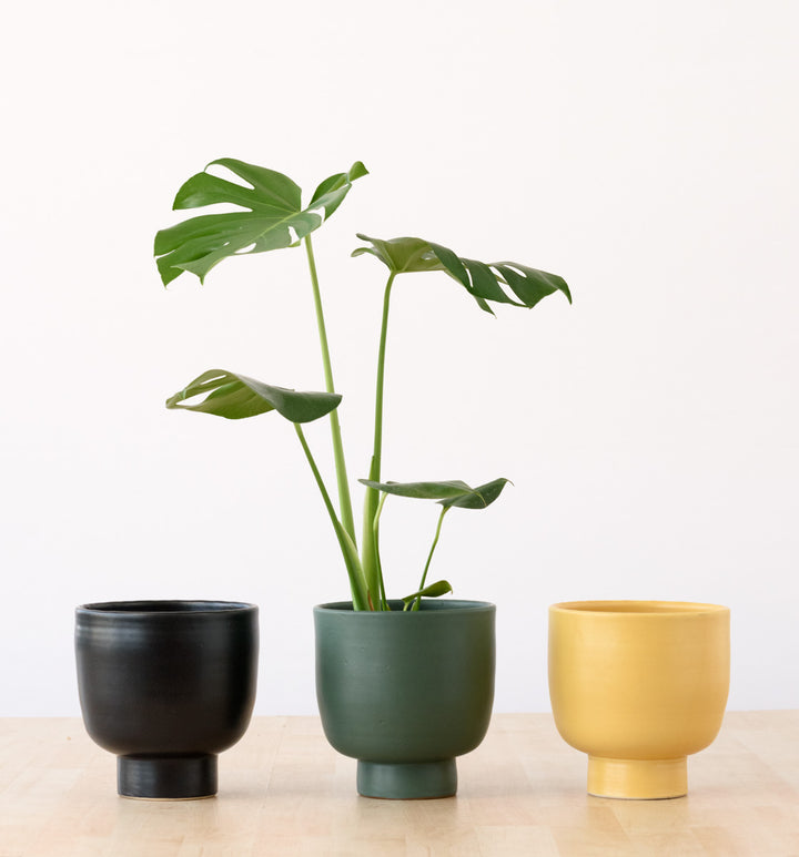 Shing Plinth Planter - Forest Green - Shop Online!