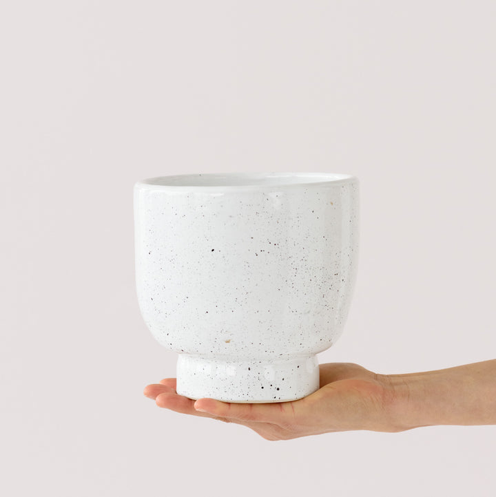 Shing Plinth Planter - Speckles - Shop Online!