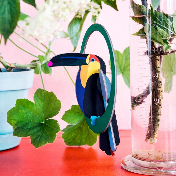 Swinging Toucan - Shop Online!