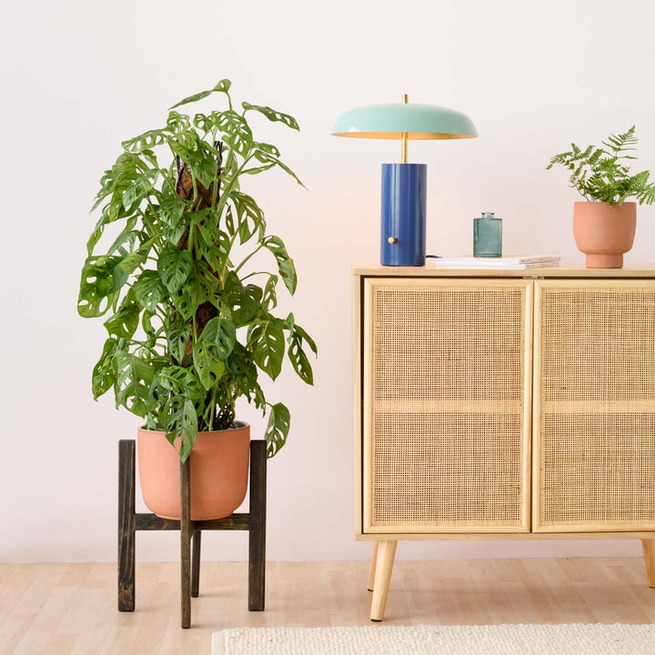 Wooden Plant Stand - Charcoal - Shop Online!