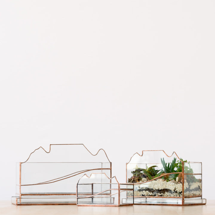 Terrarium - Table Mountain - Shop Online!