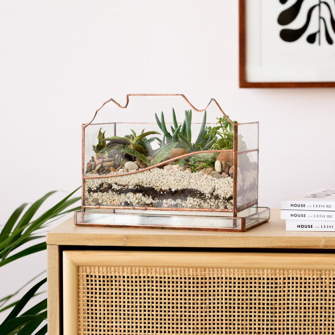 Terrarium - Table Mountain - Shop Online!