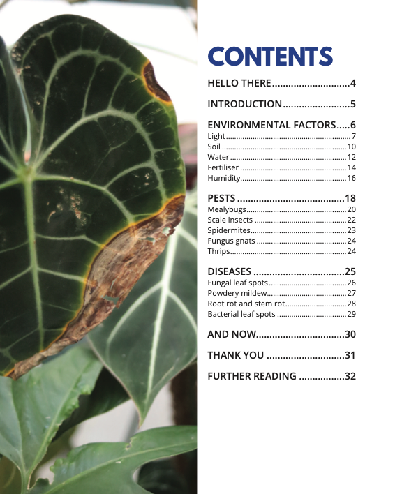 Jungle Problems Guide - Shop Online!