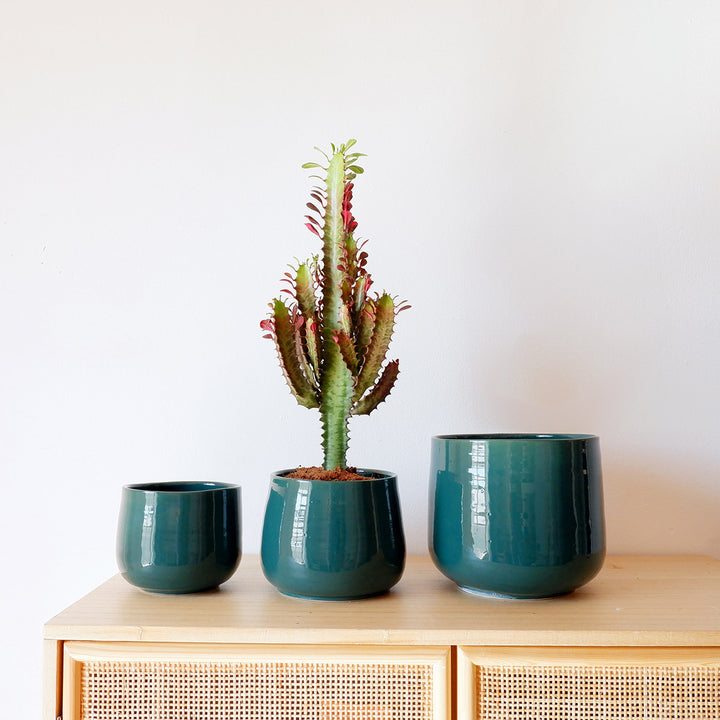 Helia Planter - Jade - Shop Online!