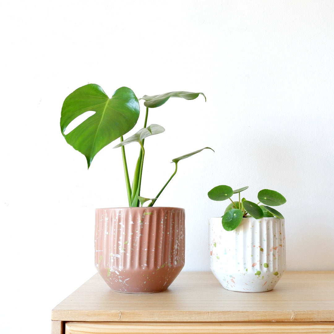 Rafa Terrazzo - Choco - Shop Online!