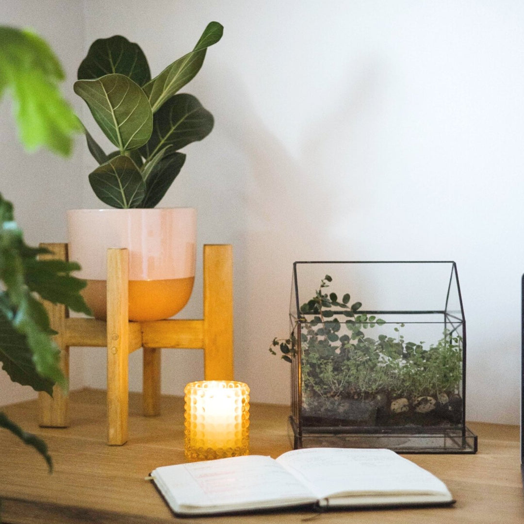 Terrarium - Deco House - Shop Online!