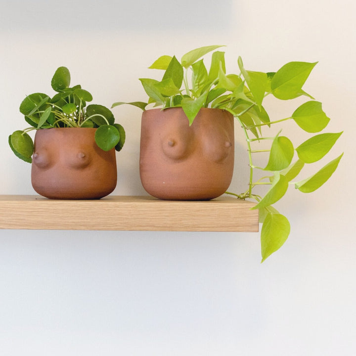 Boob Planter - Terracotta - Shop Online!