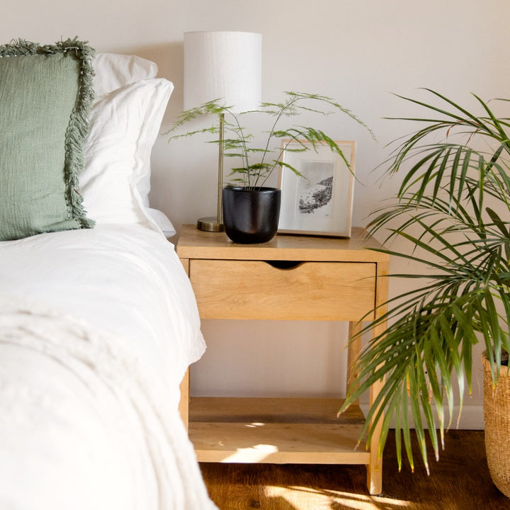 Lace Fern - Shop Online!