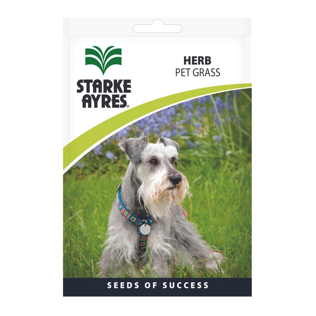 Seeds - Pet Grass - Shop Online!