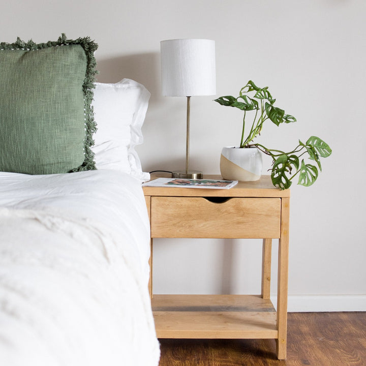 Swiss Cheese Plant - Shop Online!