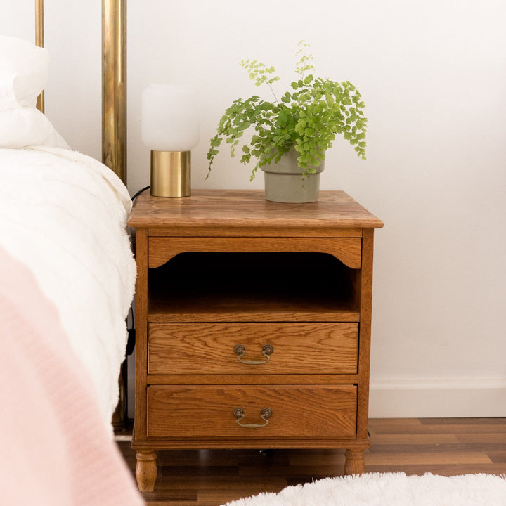 Maidenhair Fern - Shop Online!