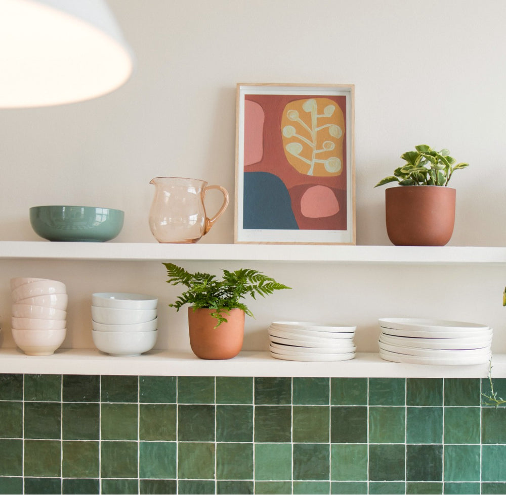 Leather Leaf Fern - Shop Online!