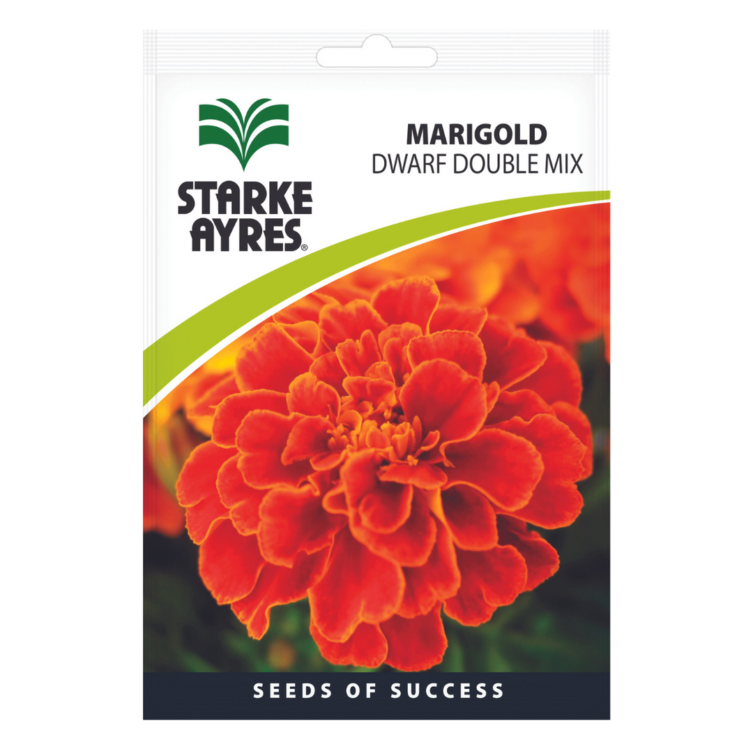 Seeds - Marigold Dwarf Double Mix - Shop Online!