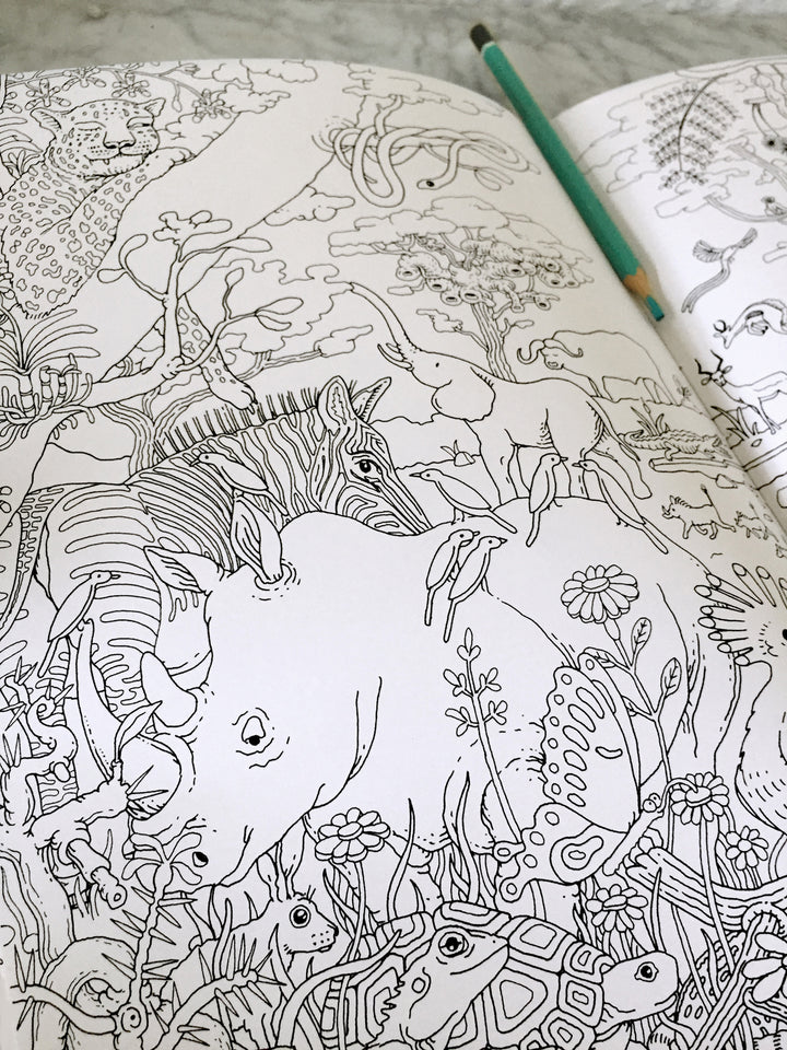 Africanum Coloratum - Colouring Safari - Shop Online!