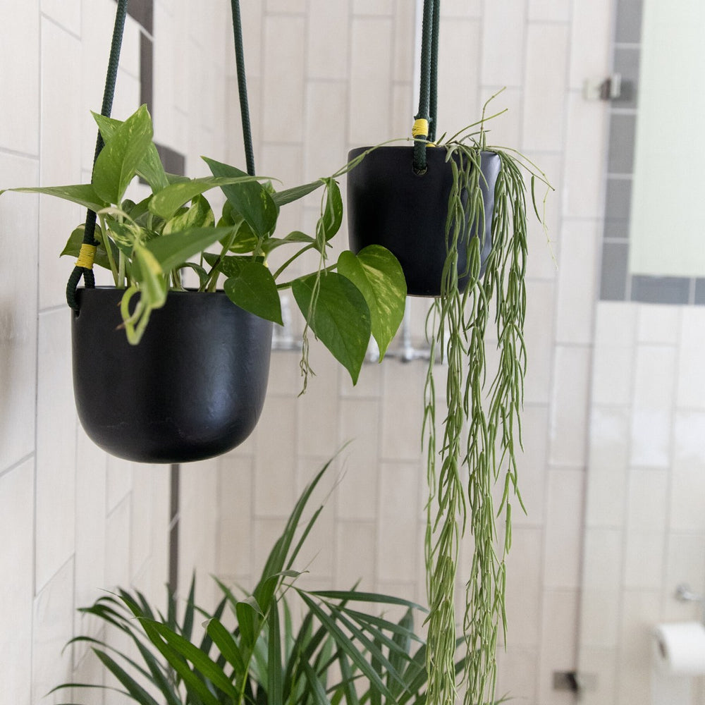 Moon Hanging Planter - Black - Shop Online!