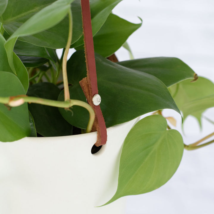 Emerson Leather Matte Hanging Pot - Shop Online!