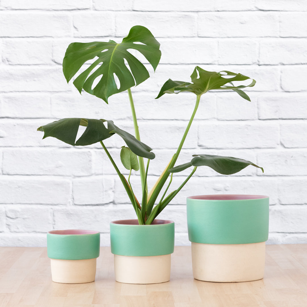 Beach Planter - Ballito - Shop Online!