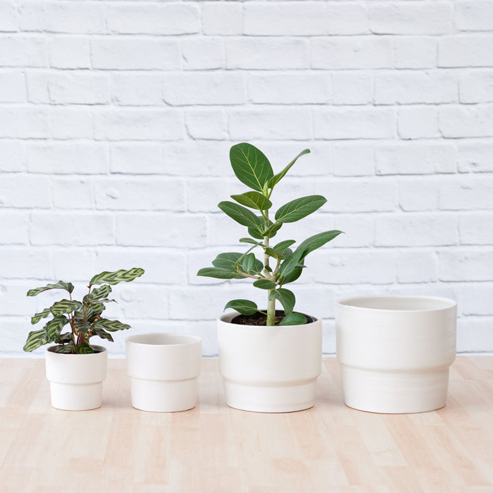 Flo Planter - Coconut Milk White - Shop Online!