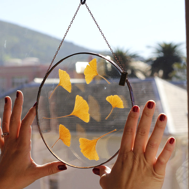 VELT Botanical Frame - Gingko - Shop Online!