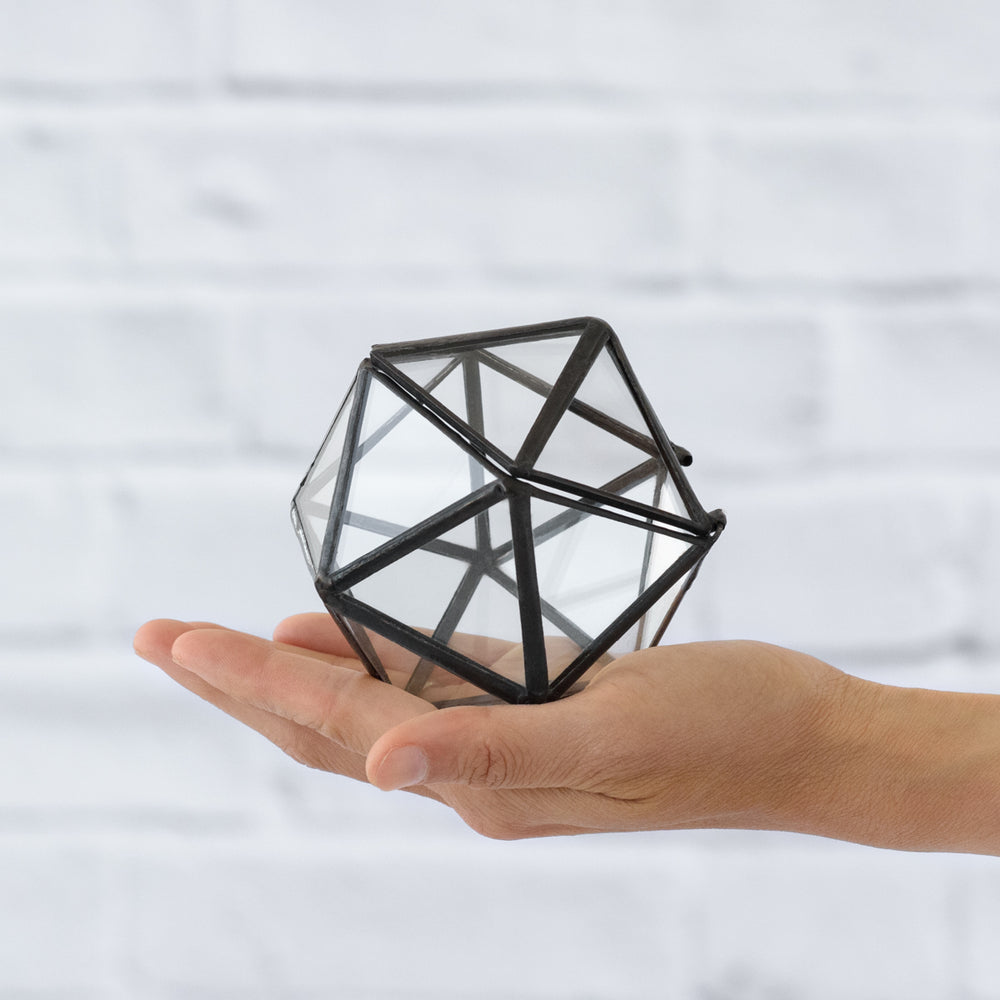 Glass Box - Crystal - Shop Online!