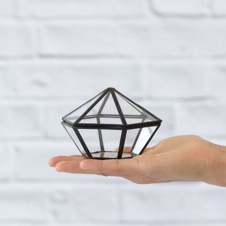 Glass Box - Star - Shop Online!