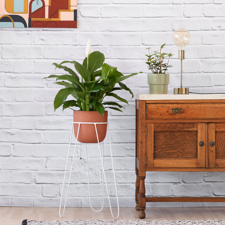 Hairpin Plant Stand - White - Shop Online!