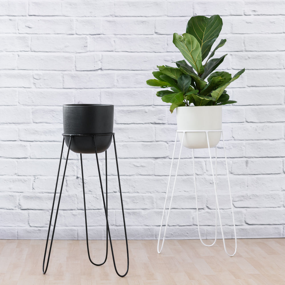 Hairpin Plant Stand - Black - Shop Online!