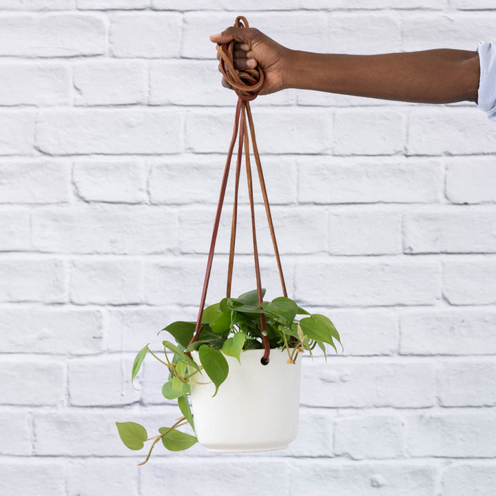 Emerson Leather Matte Hanging Pot - Shop Online!