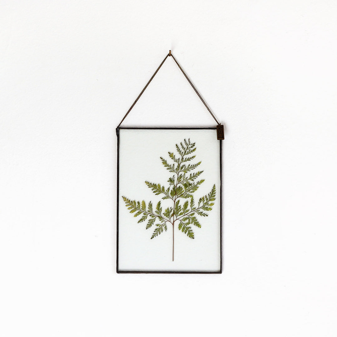VELT Botanical Frame - Large Fern - Shop Online!