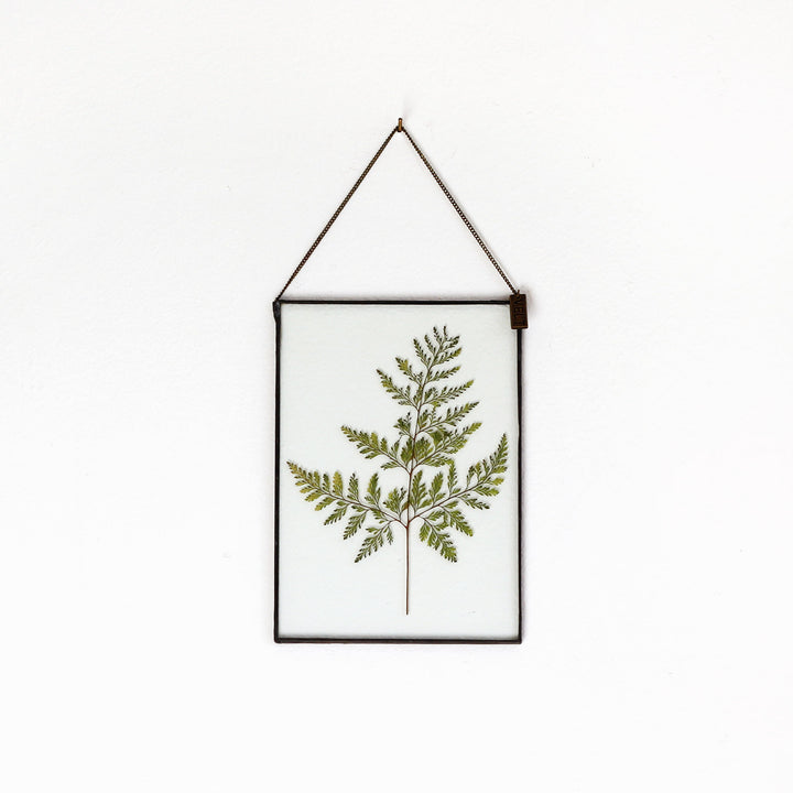 VELT Botanical Frame - Large Fern - Shop Online!