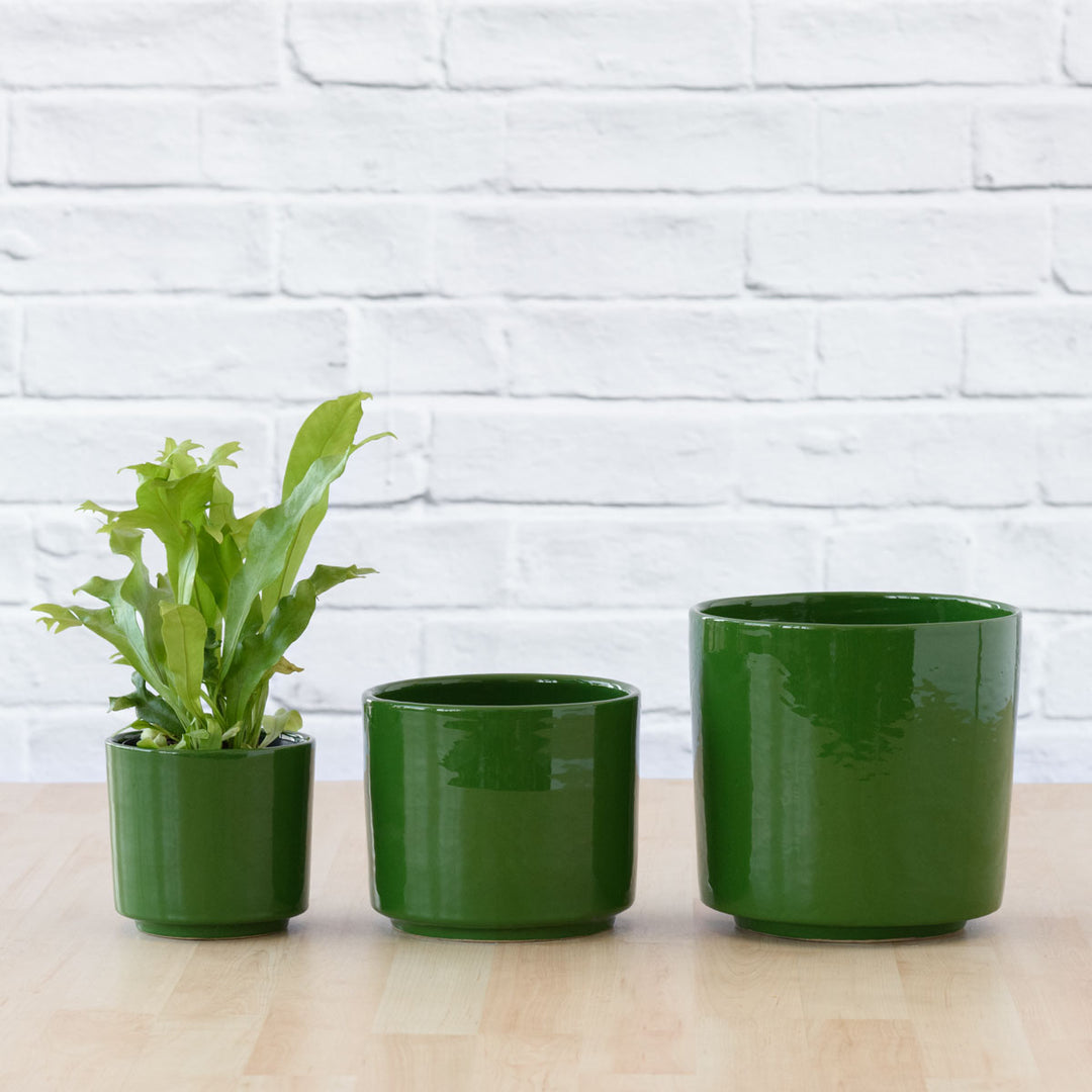 Migo Planter - Forest Green - Shop Online!