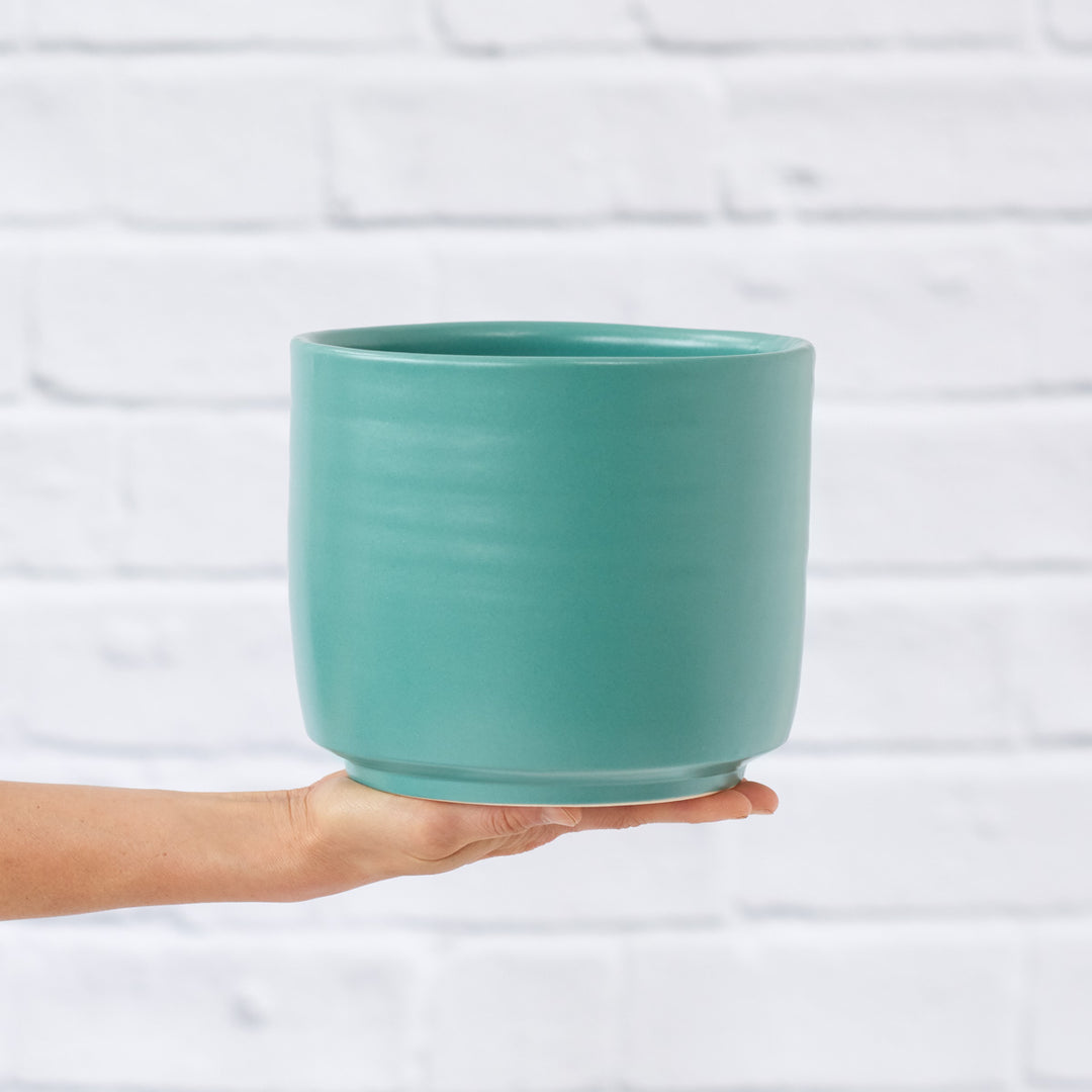 Migo Planter - Teal Blue - Shop Online!