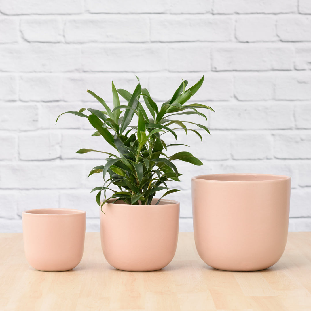 Moon Planter - Millennial Pink - Shop Online!