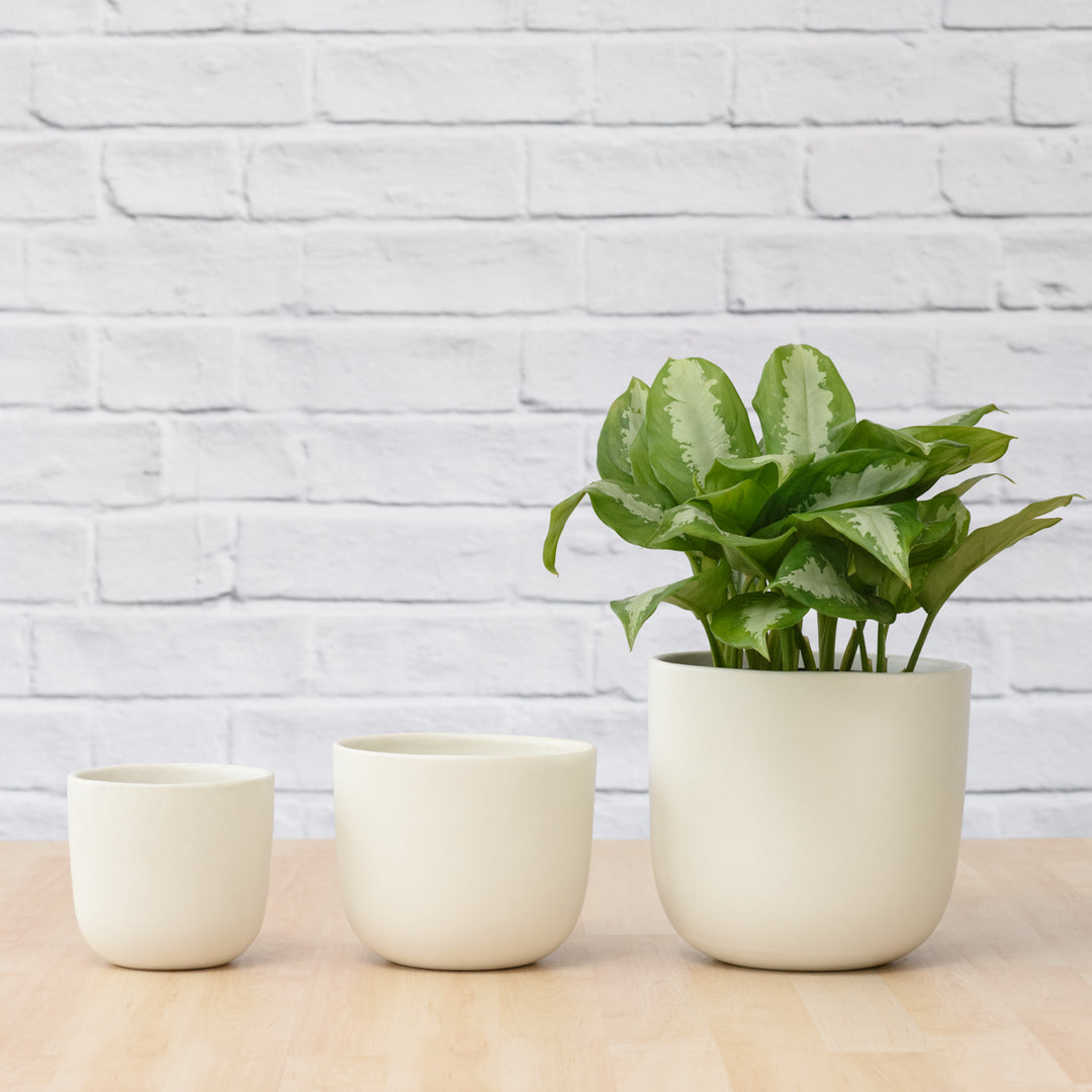 Moon Planter - White - Shop Online!