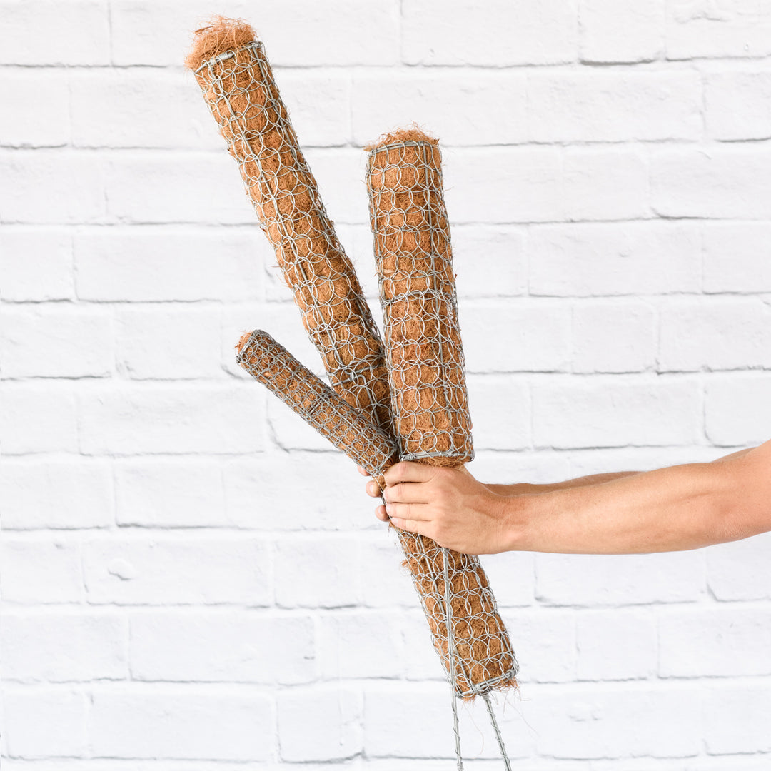 Moss Pole - Shop Online!