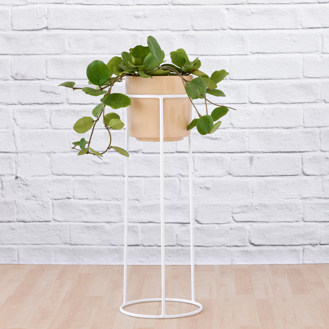 Orion Plant Stand - White - Shop Online!