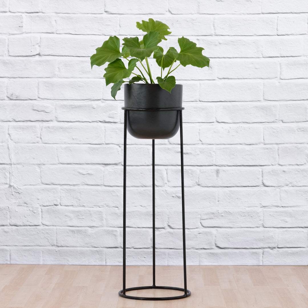 Orion Plant Stand - Black - Shop Online!