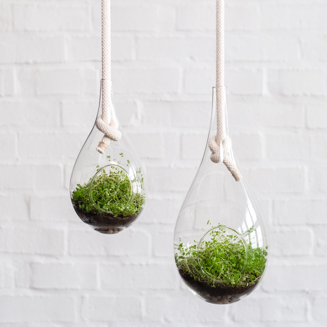 Raindrop Glass Hanging Planter - Shop Online!