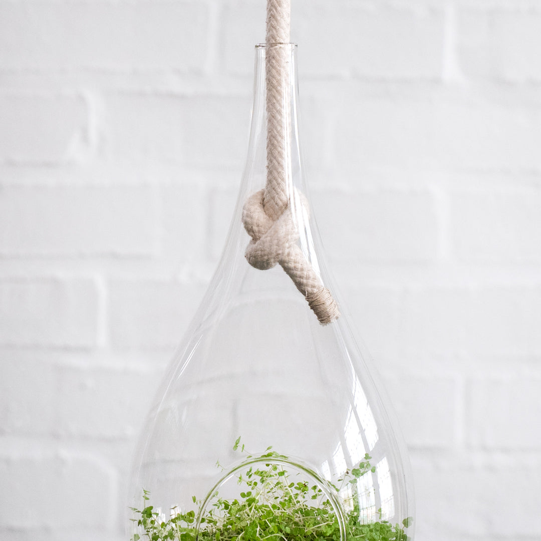 Raindrop Glass Hanging Planter - Shop Online!